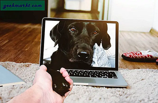 5 ứng dụng theo dõi thú cưng tốt nhất cho Android và iOS